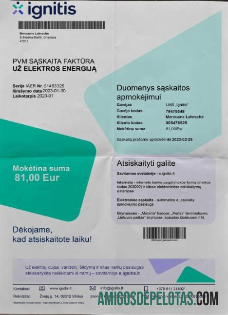 Lituânia disparou projeto de lei de eletricidade em formato PSD modelo